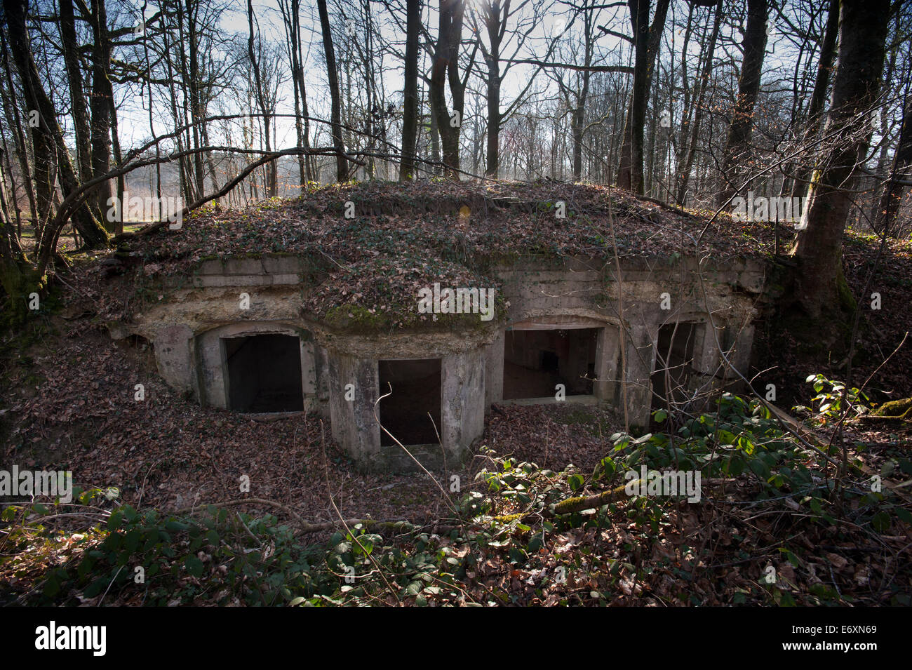 Argonne Forest WW1 MeuseArgonne Battlefield site, Abri du Kronprinz