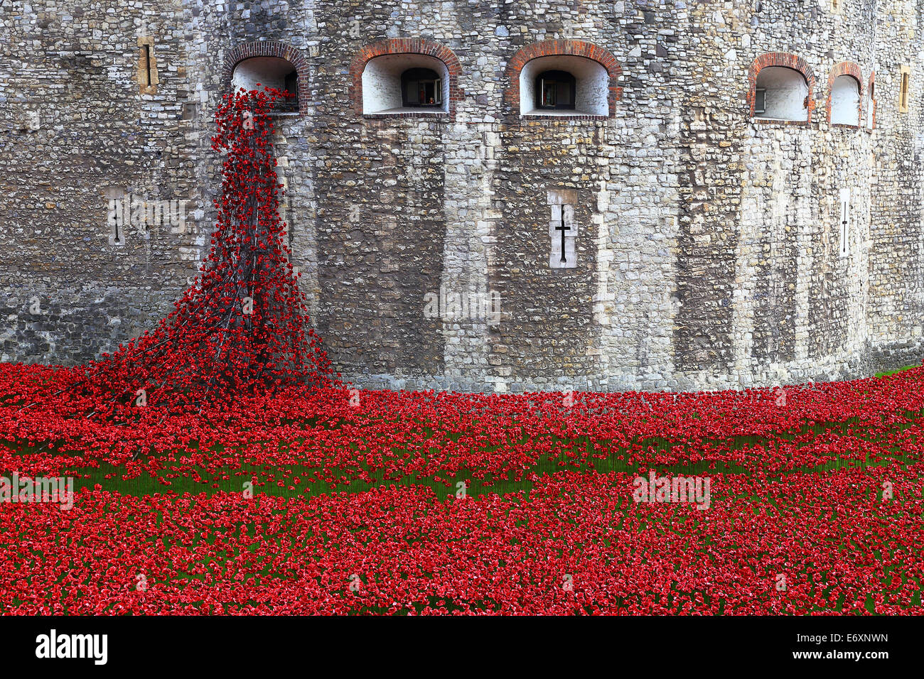 Tower of London moat decorated with the poppies in remembrance of the 100 anniversary of WWI Stock Photo