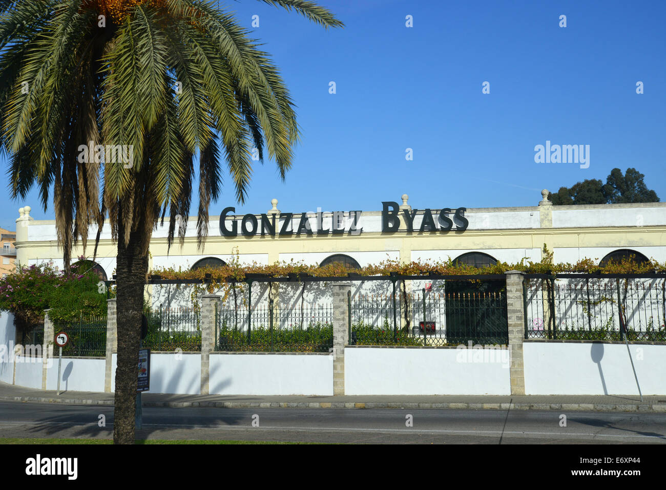 Gonzalez Byass Bodega, Jerez de la Frontera, Province of Cádiz, Andalusia, Kingdom of Spain Stock Photo