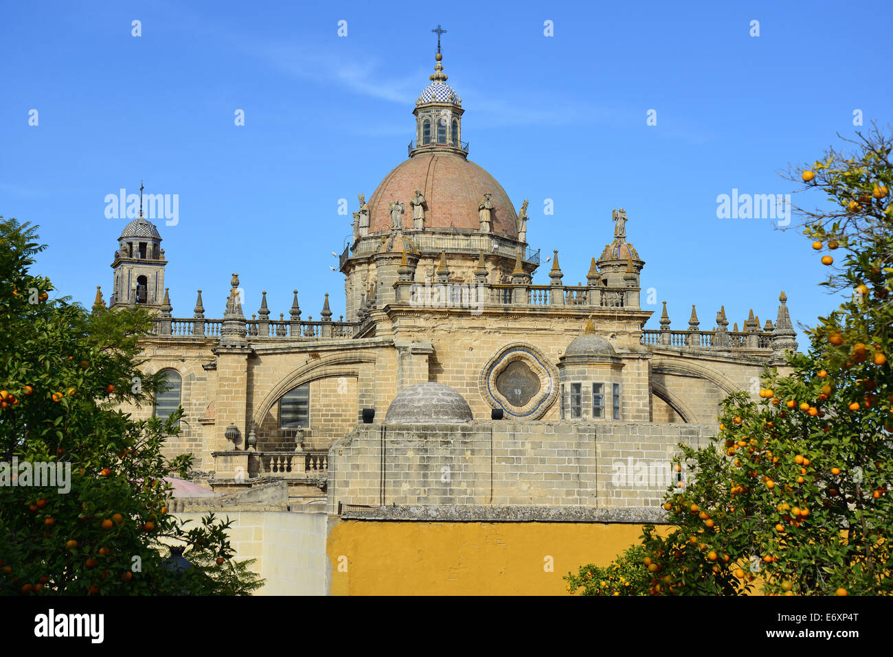 Cathedral of Jerez de la Frontera through orange trees, Jerez de la Frontera, Province of Cádiz, Andalusia, Kingdom of Spain Stock Photo