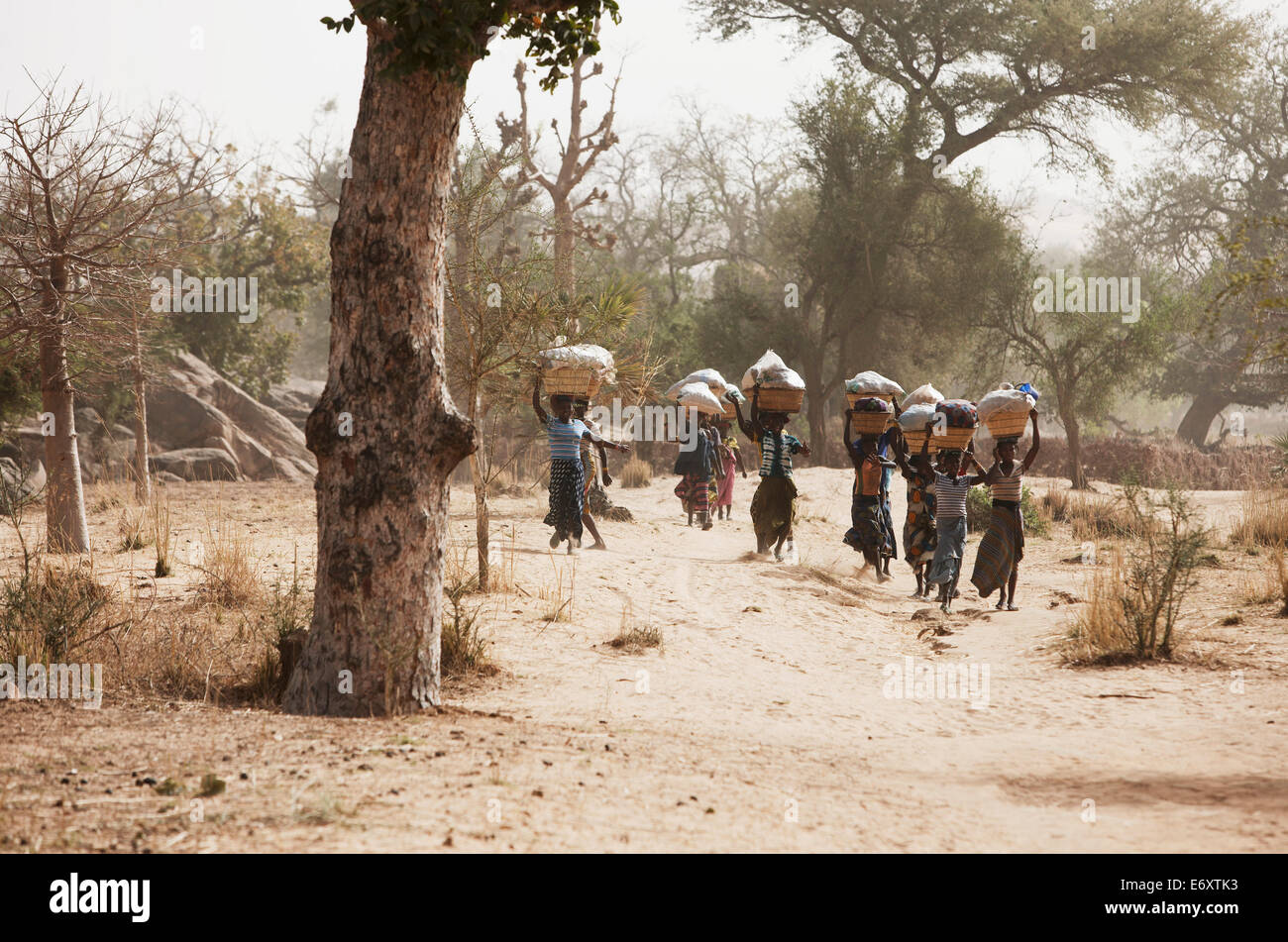 Women on the way to a market, Dogon land, Mopti region, Mali Stock Photo