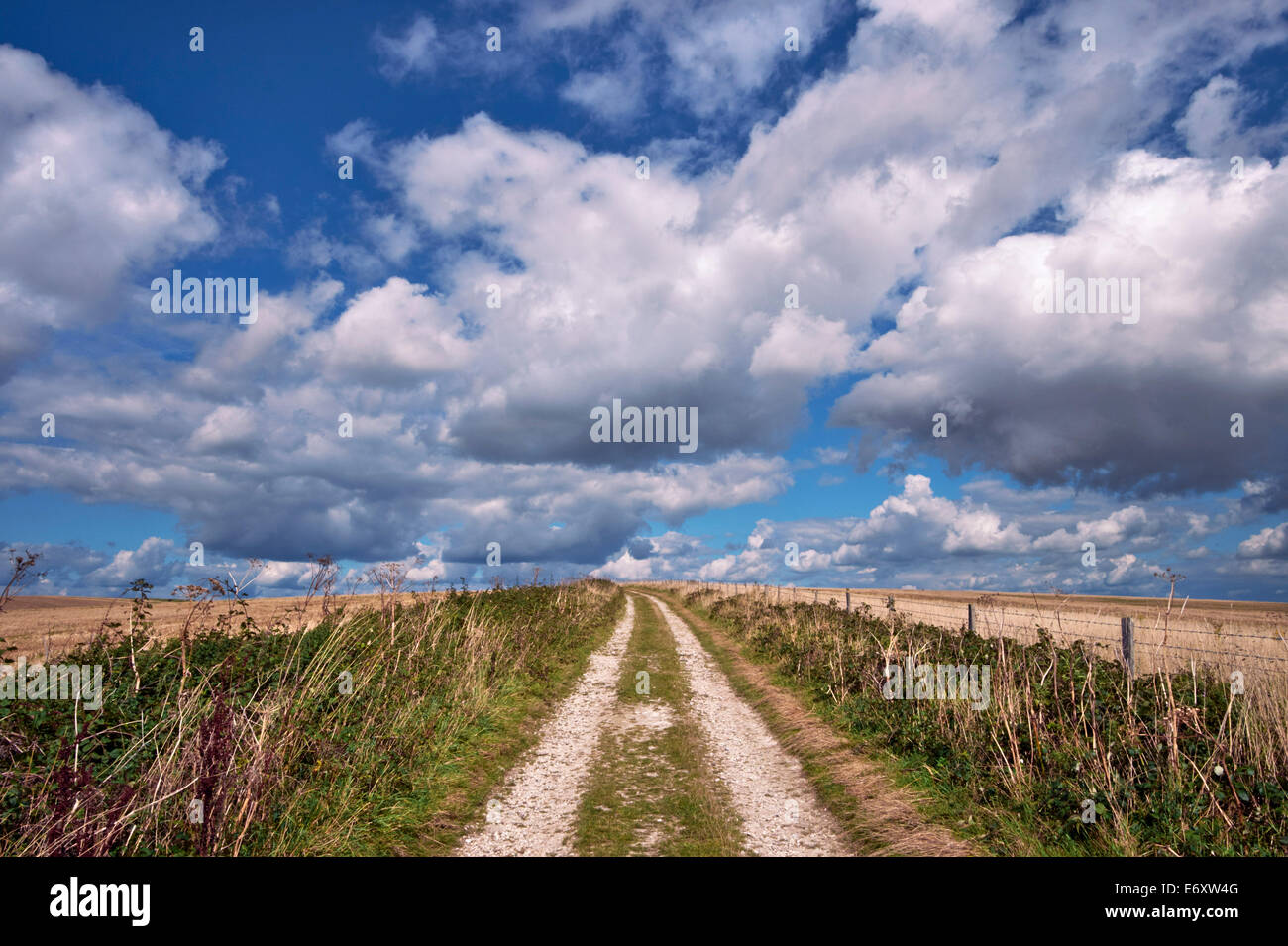 Bridle-path on the South Downs near Bostal Hill.  Alfriston, Sussex, England. Stock Photo