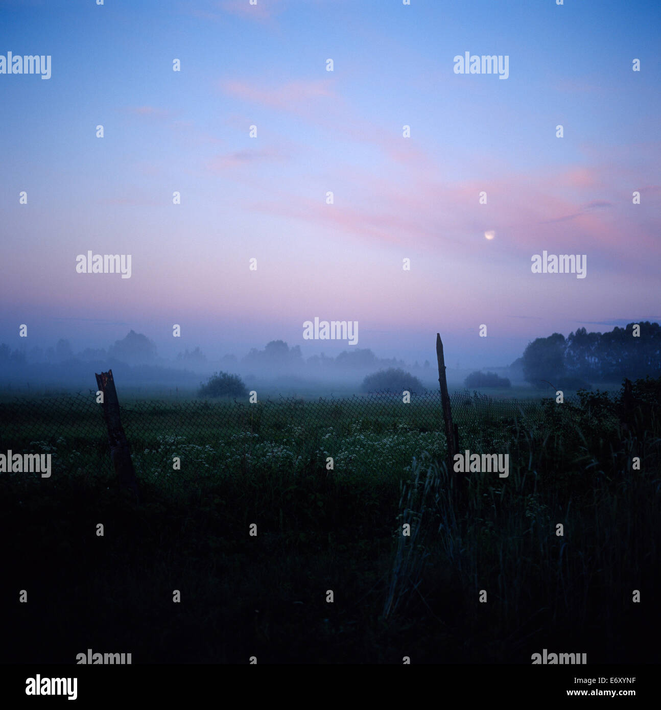 Field fog moon hi-res stock photography and images - Alamy