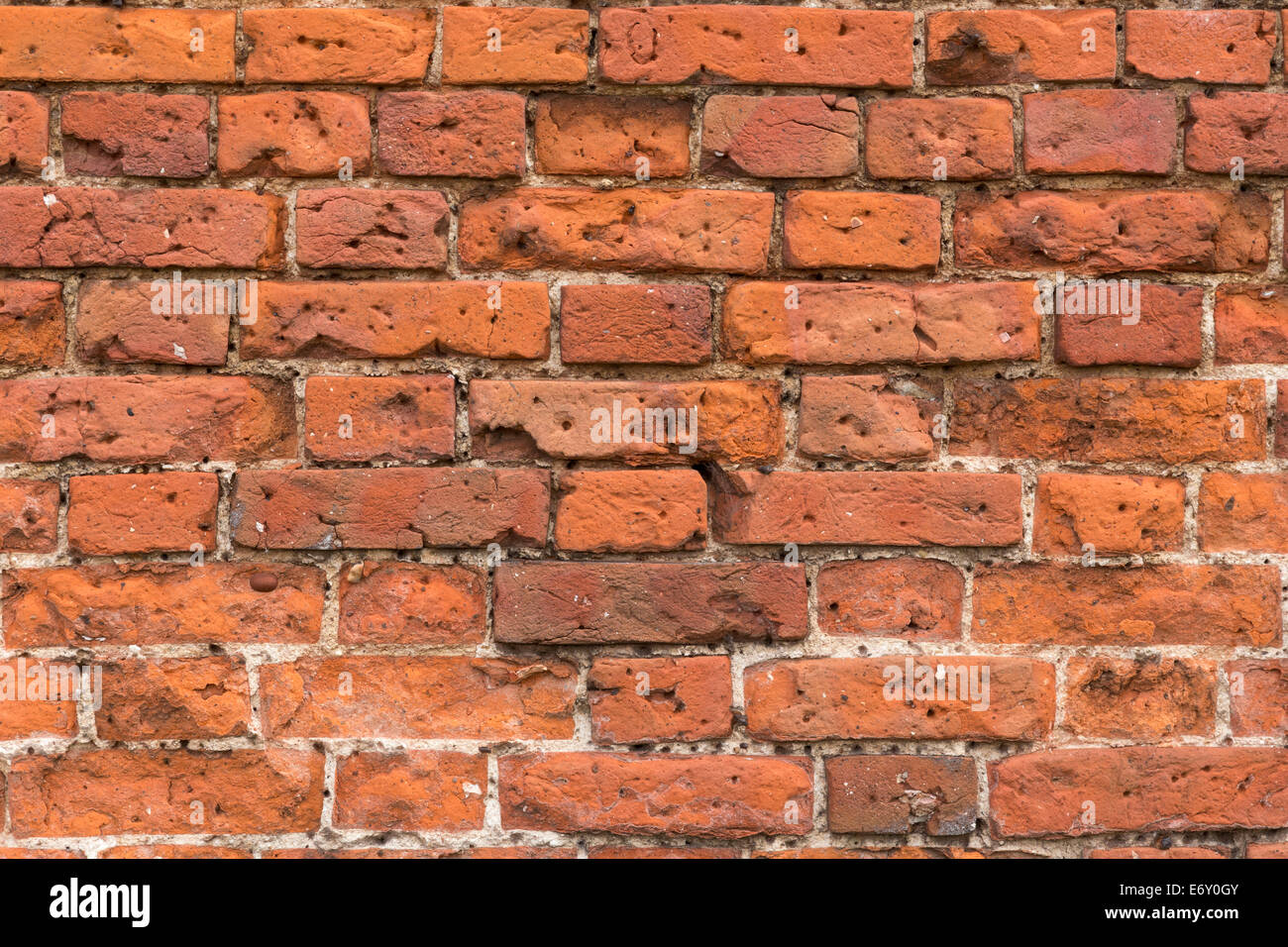 Weathered old brick wall in garden. Many nail holes where wires have