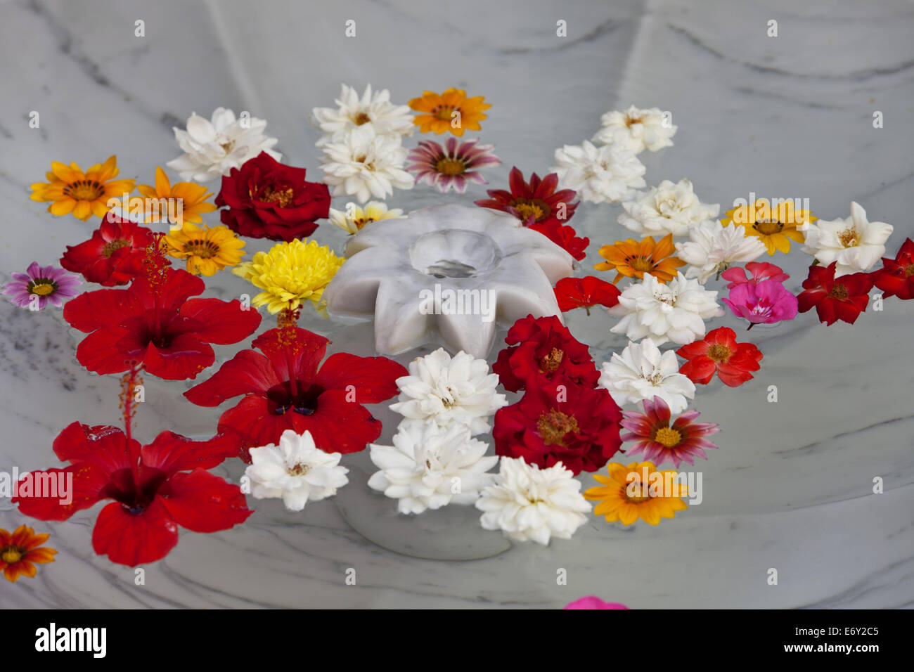 Flowers in water fountain, Riad Nashira, Marrakech, Morocco Stock Photo
