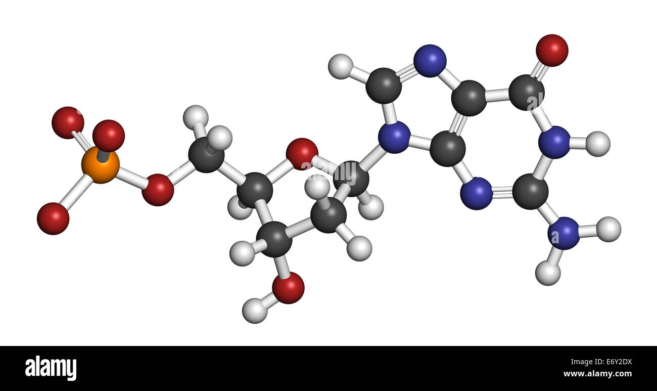 Гуанин рибоза. Молекула гуанина. Молекула соли пищевой. Гуаниловая кислота формула. Человек молекула.