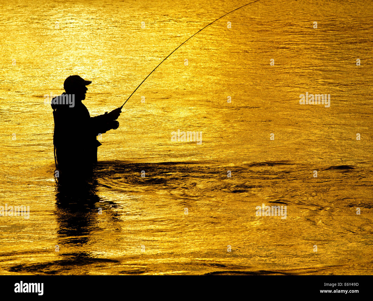 Man fishing in river with fly rod and waders Stock Photo