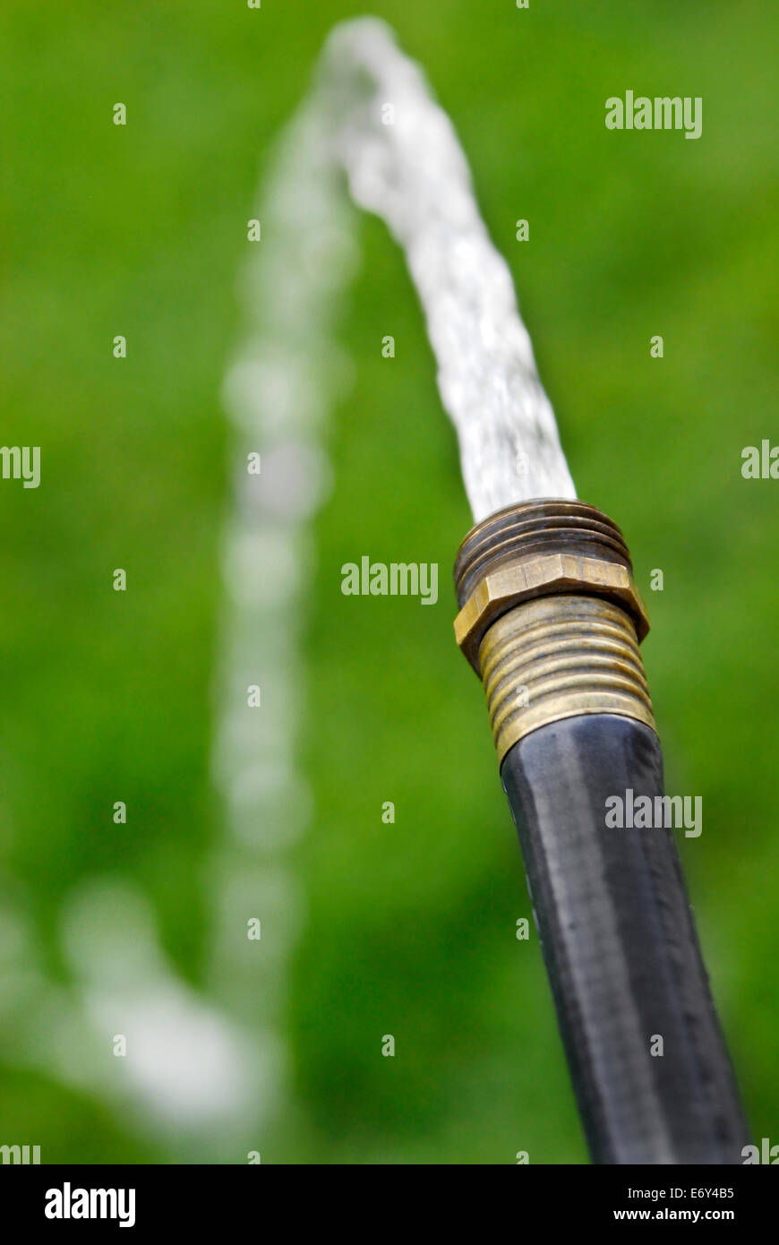 Detail of black hose squirting shooting fresh water on green grass lawn Stock Photo