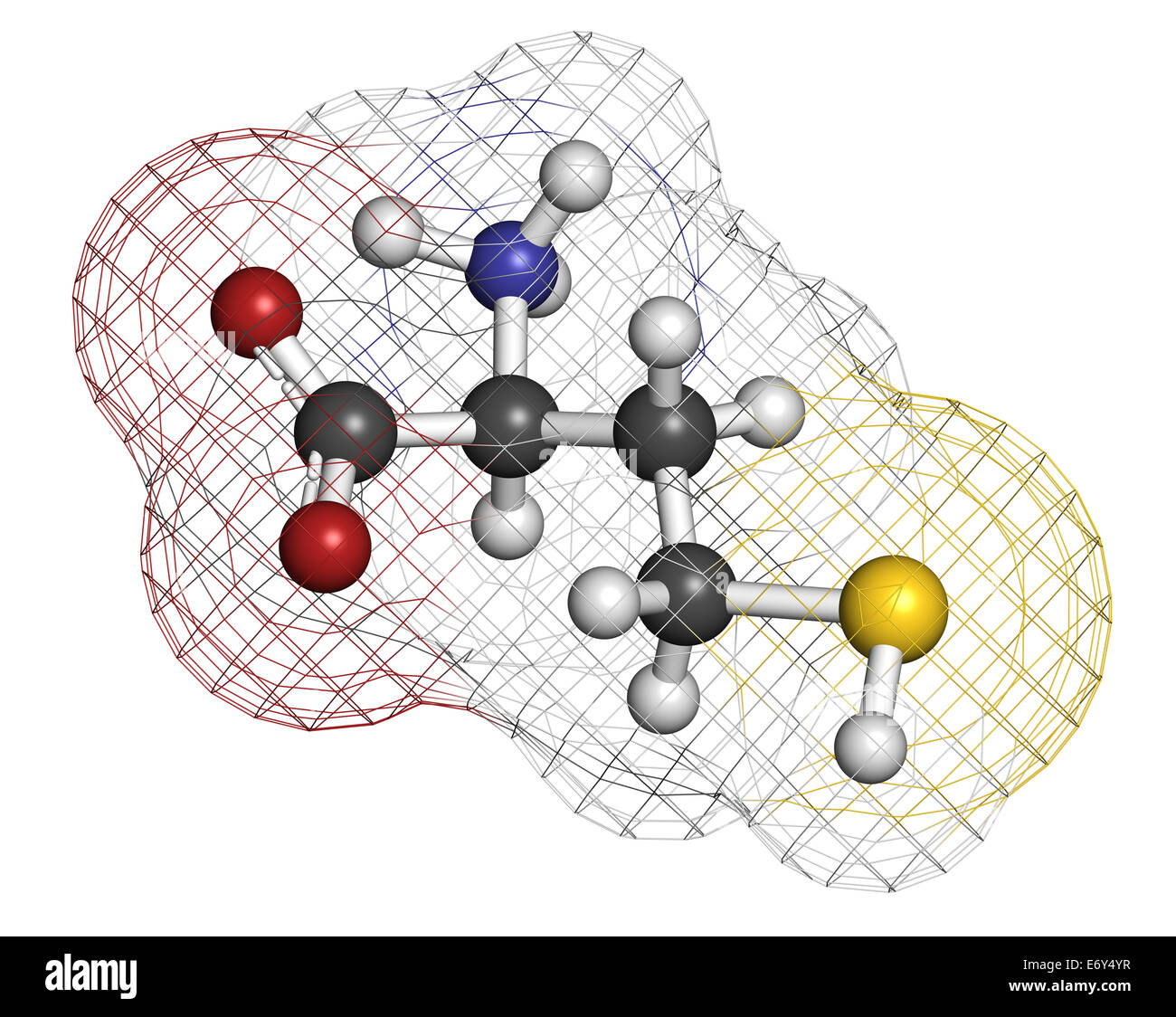 Homocysteine (Hcy) biomarker molecule. Increased levels indicate elevated risk of cardiovascular disease. Atoms are represented  Stock Photo