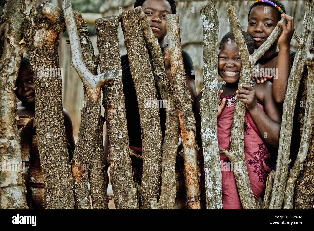 Children of the Zulu tribe looking through a cattle fence, KwaZulu-Natal, South Africa, Africa Stock Photo