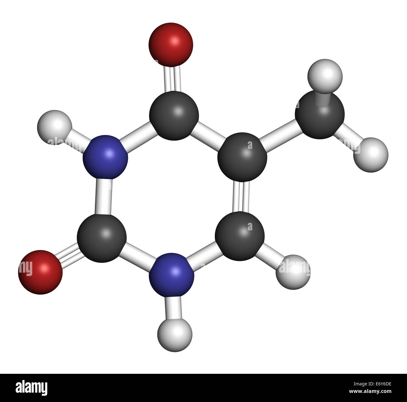 Thymine (T) nucleobase molecule. present in DNA. Atoms are represented as  spheres with conventional color coding: hydrogen (whit Stock Photo - Alamy