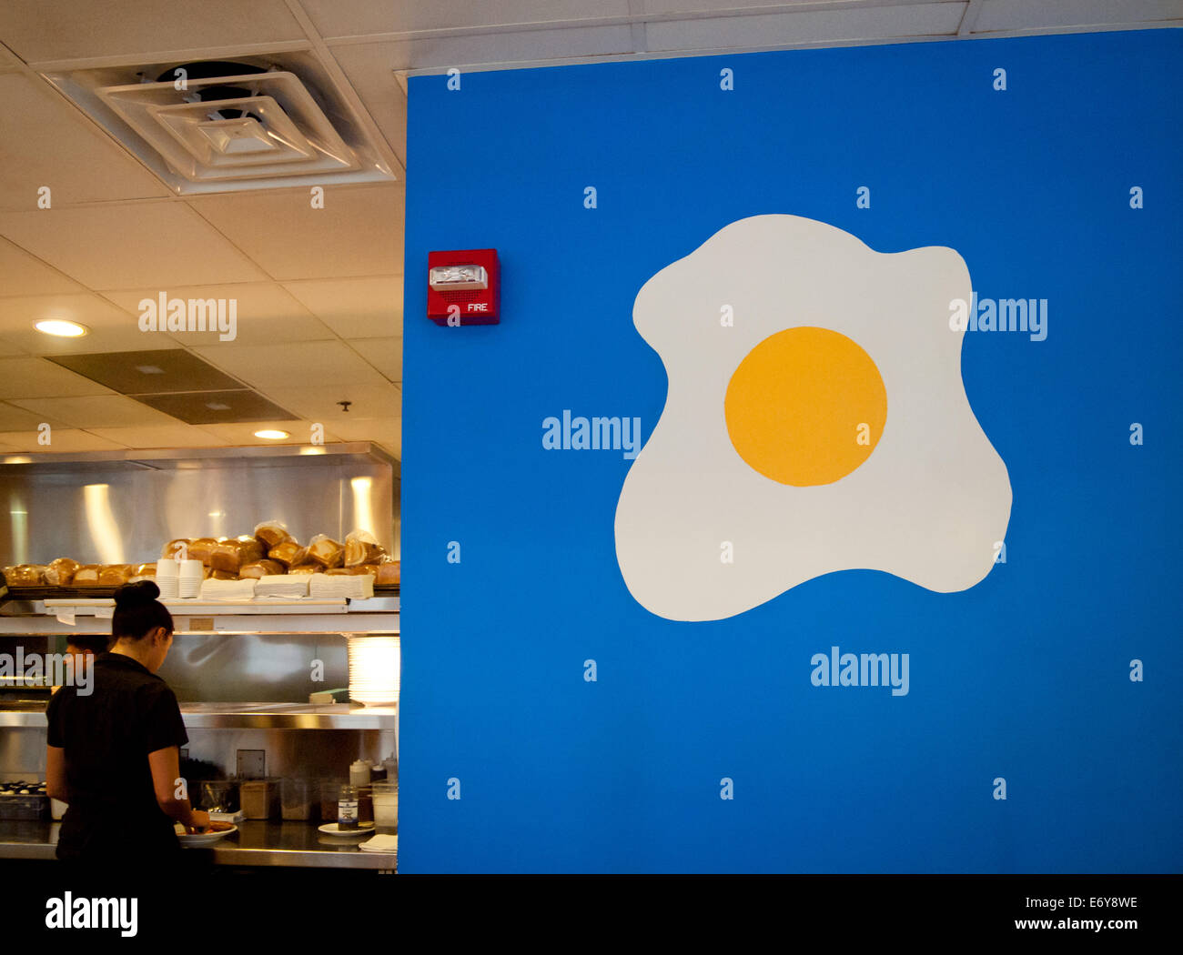 Yolk breakfast diner chicago waitress restaurant hires stock