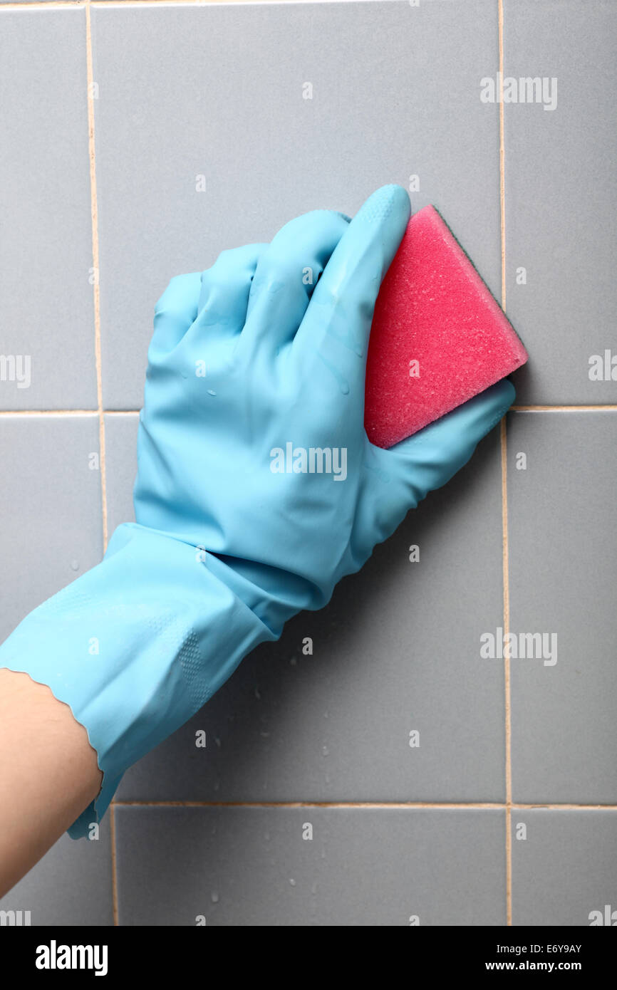 Glazed tile hires stock photography and images Alamy
