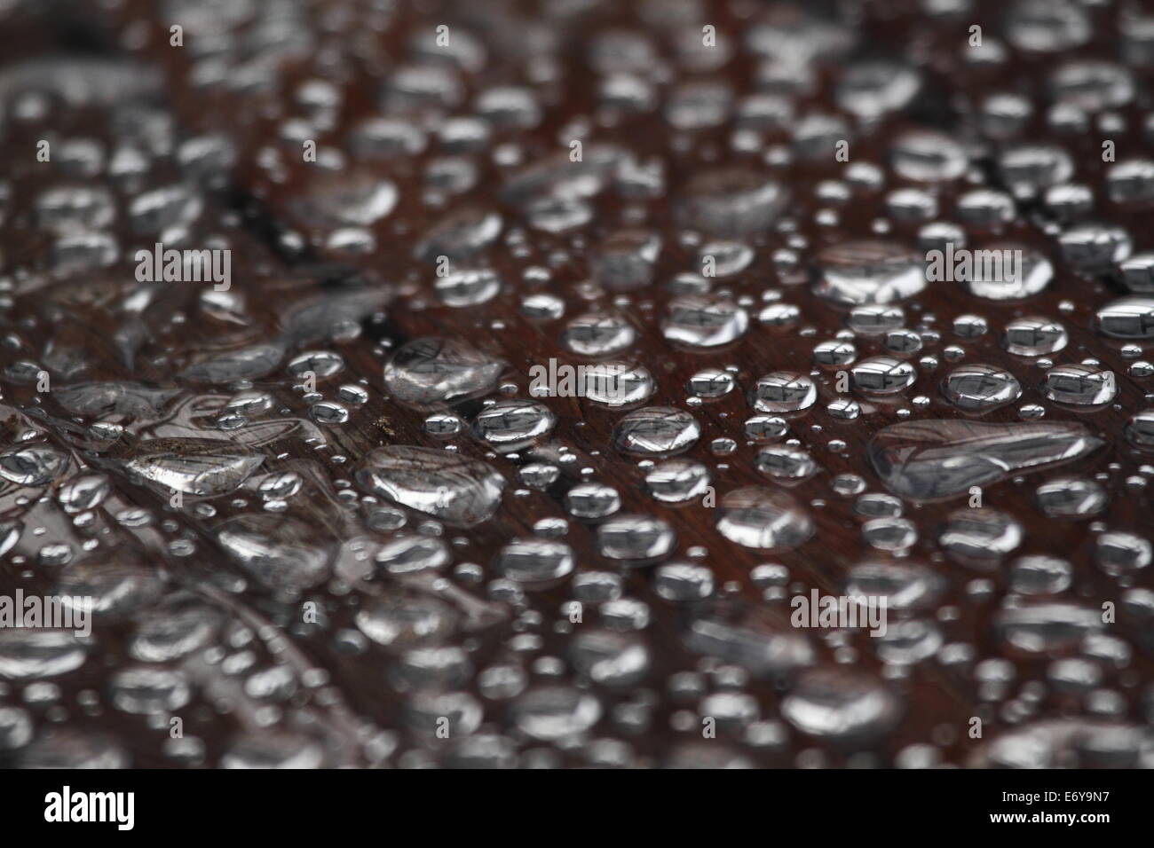 Raindrops beading on plastic table cover Stock Photo Alamy