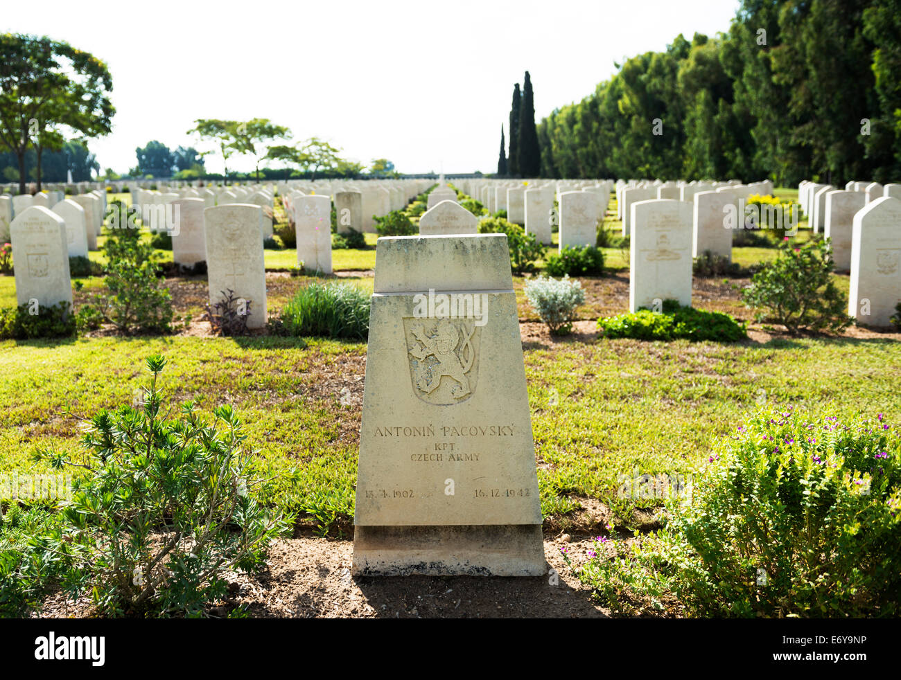 Ramleh Commonwealth War Graves Commission Cemetery Stock Photo Alamy
