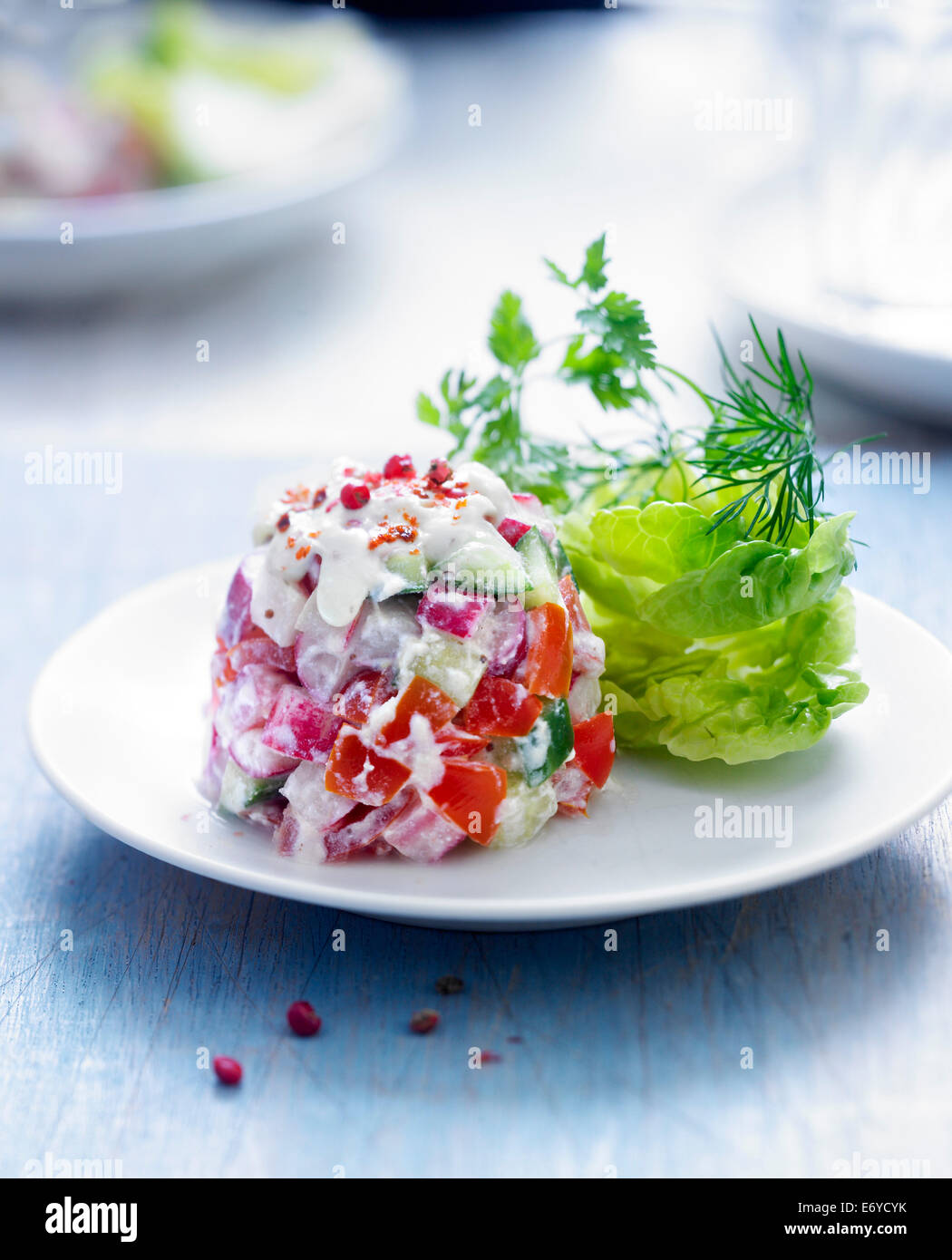 Vegetable tartare with chervil Stock Photo
