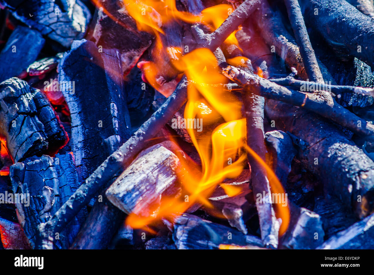 Small bonfire flames and burned firewood Stock Photo