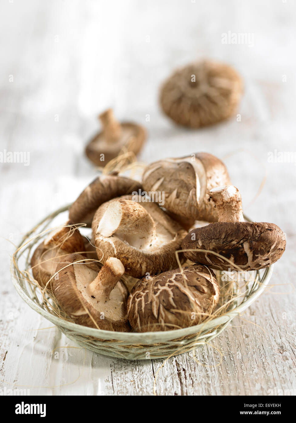 Shiitake mushrooms Stock Photo
