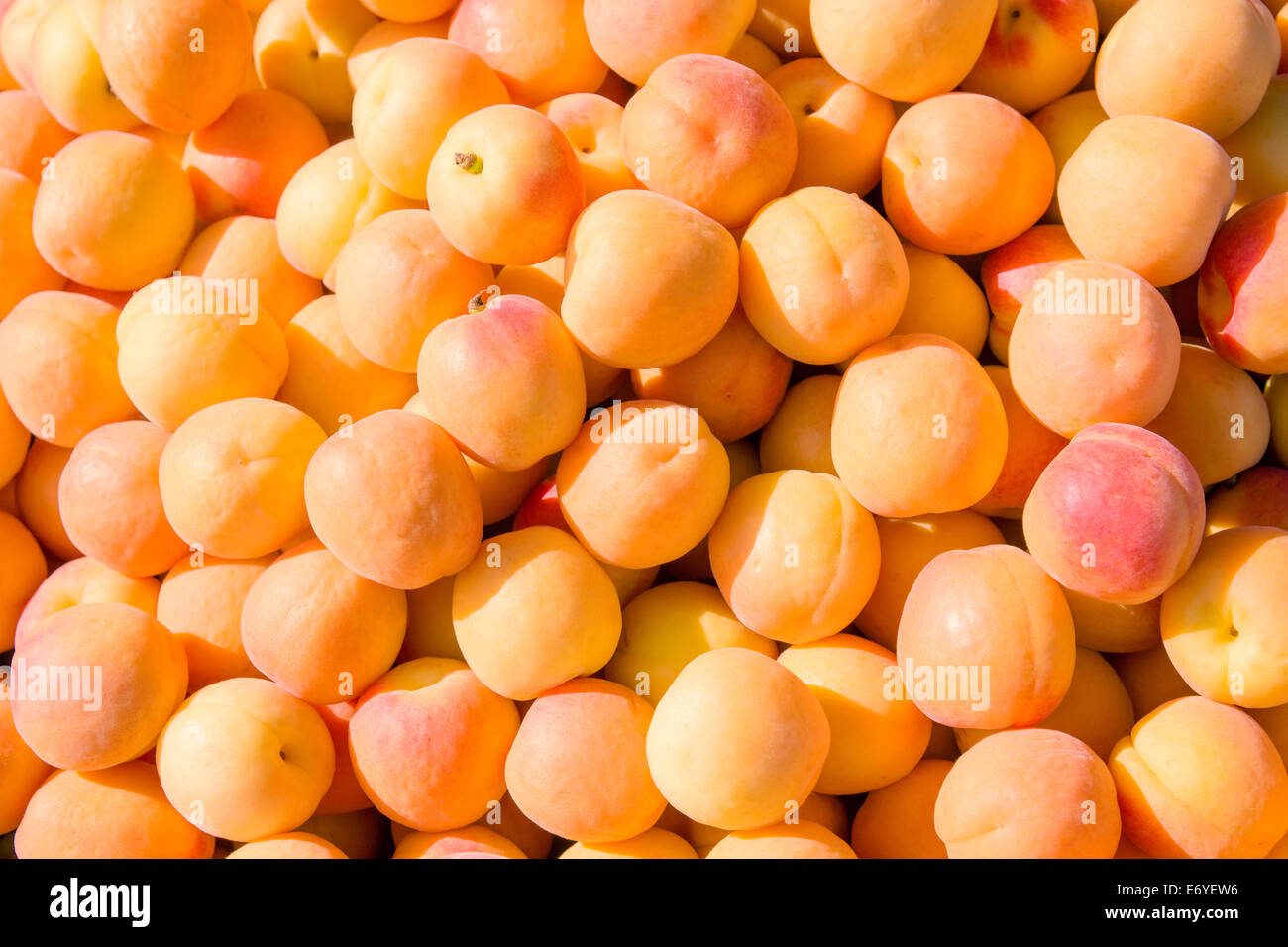 A pile of yellow and orange apricots on display for sale in the area market Stock Photo