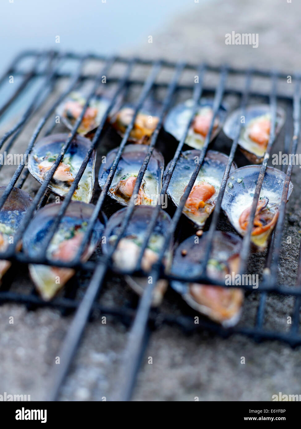 Mussels on the barbecue Stock Photo