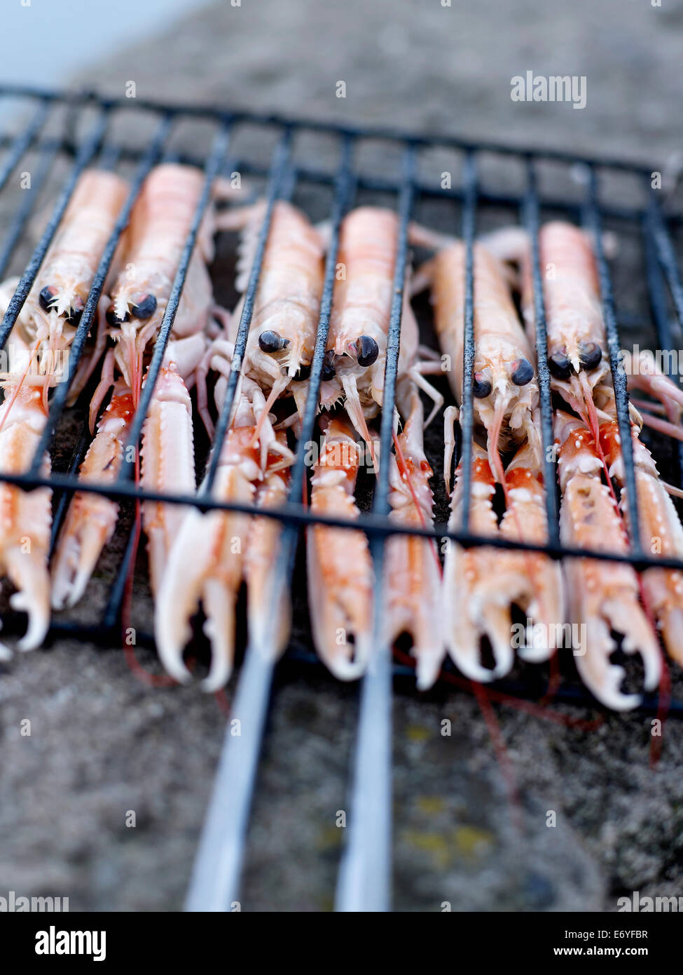 Dublin Bay prawns on the barbecue Stock Photo