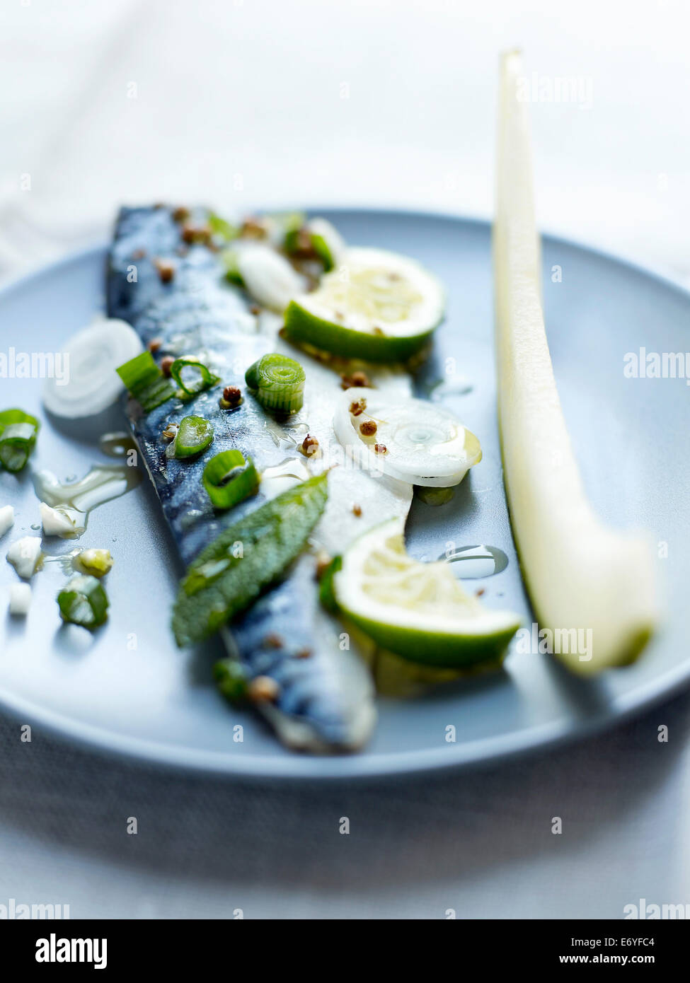 Marinated mackerel fillet with lime,mint and fennel Stock Photo