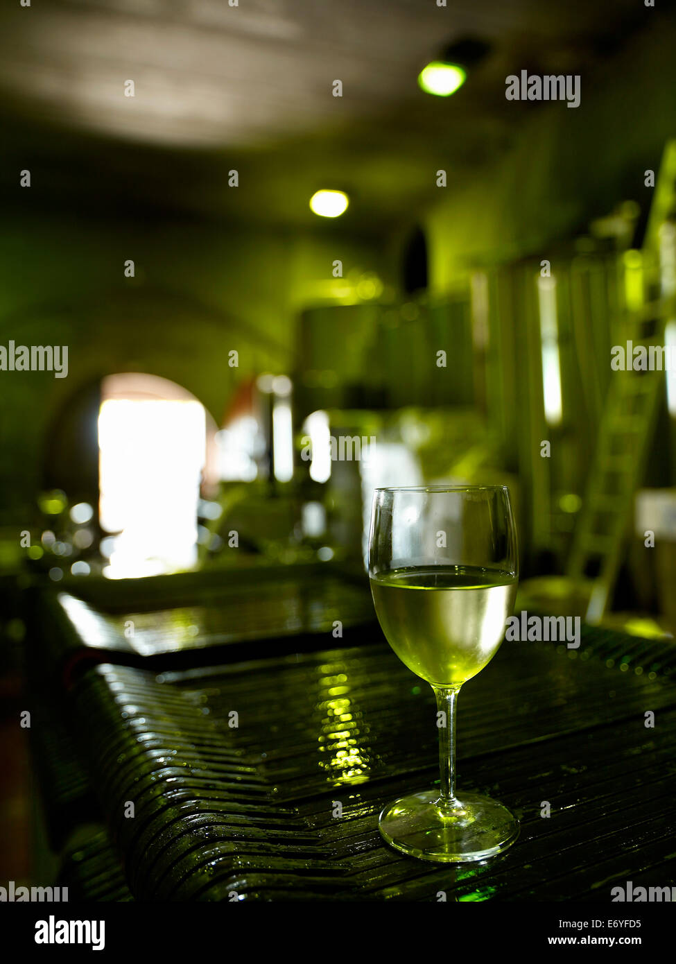 Glass of wine in teh winery cellar Stock Photo