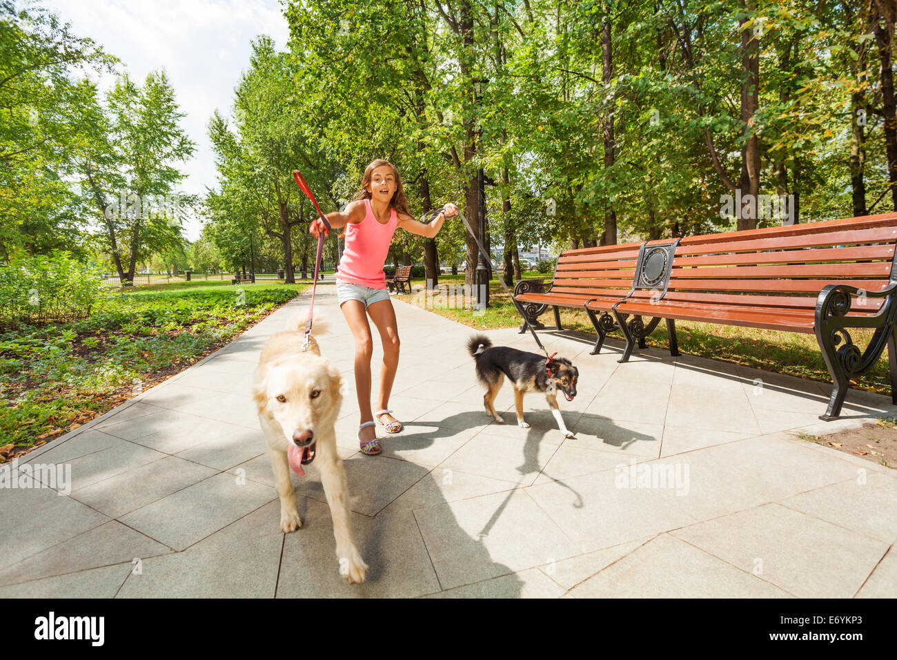 Teen girl and dogs walking hires stock photography and images Alamy