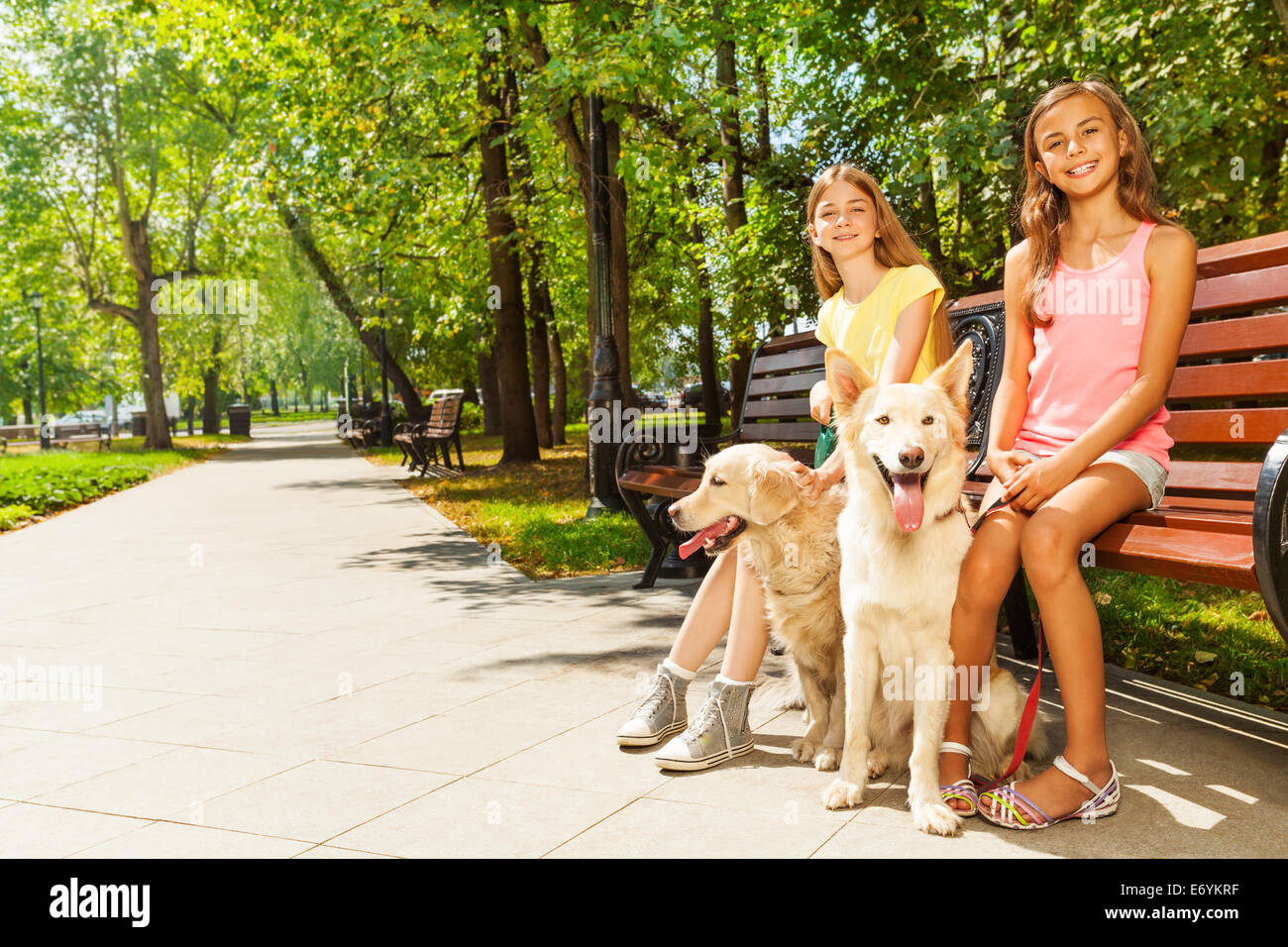 Girl two dog. Девушка с собакой в парке. Девушка с собачкой в парке. Девушка гуляет с двумя собаками. Прогулка с собакой в парке.