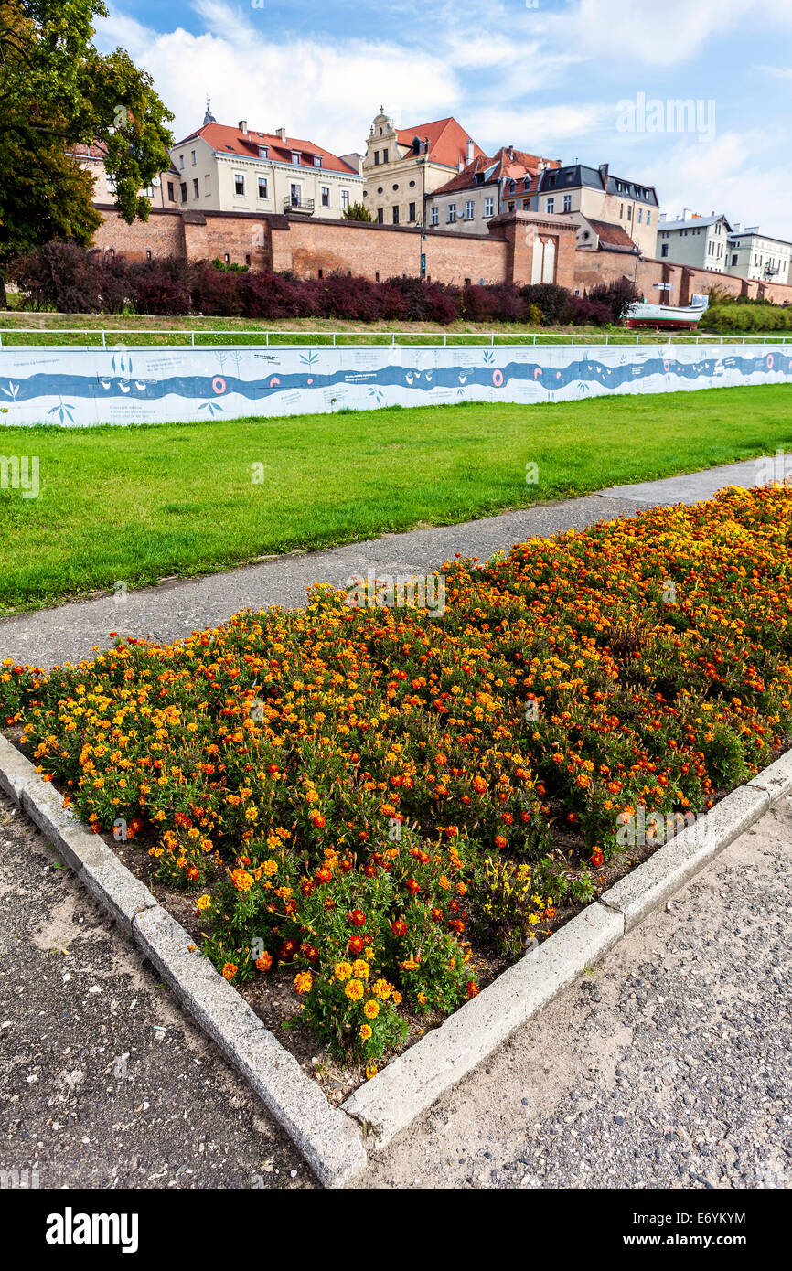 Flowerbed in Torun, Vistula riverside path, Poland. Stock Photo