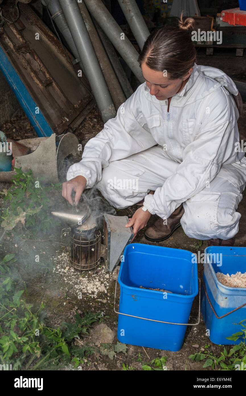 A female beekeeper, dressed in protective gear, preparing the smoker, a piece of equipment she will use with her beehives. Stock Photo