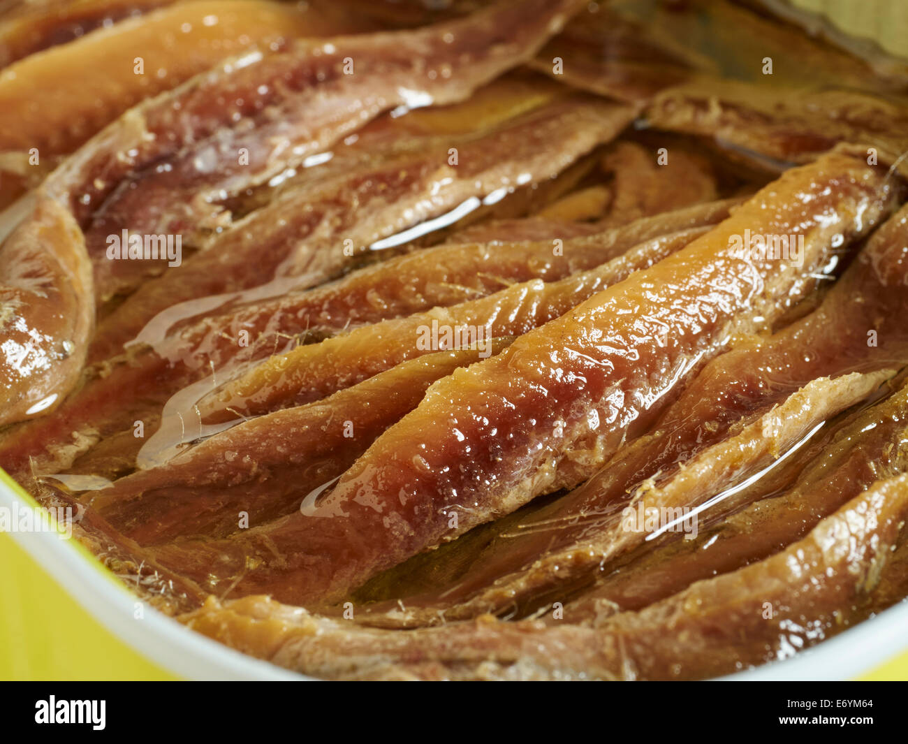 Anchovy fillets packed in olive oil Stock Photo Alamy