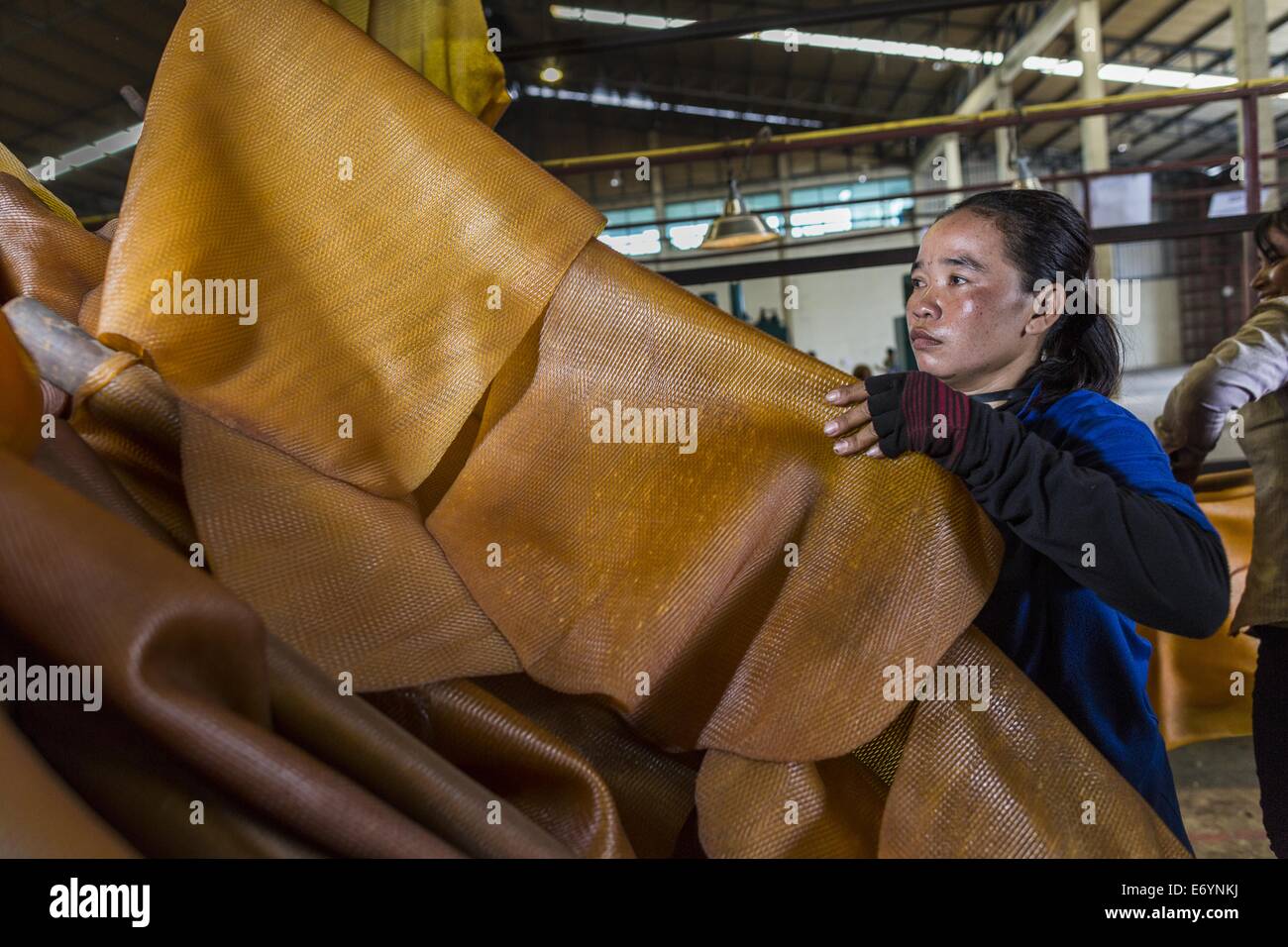 Sept. 2, 2014 - Bo Thong, Chonburi, Thailand - A worker at Bothong Rubber Fund Cooperative in Bo Thong, Chonburi, Thailand, pulls rubber sheets off hangers after they were dried in a large smoker. Thailand is the leading rubber exporter in the world. In the last two years, the price paid to rubber farmers has plunged from approximately 190 Baht per kilo (about $6.10 US) to 52 Baht per kilo (about $1.60 US). It costs about 65 Baht per kilo to produce rubber ($2.05 US). A rubber farmer in southern Thailand committed suicide over the weekend, allegedly because the low prices meant he couldn't pro Stock Photo
