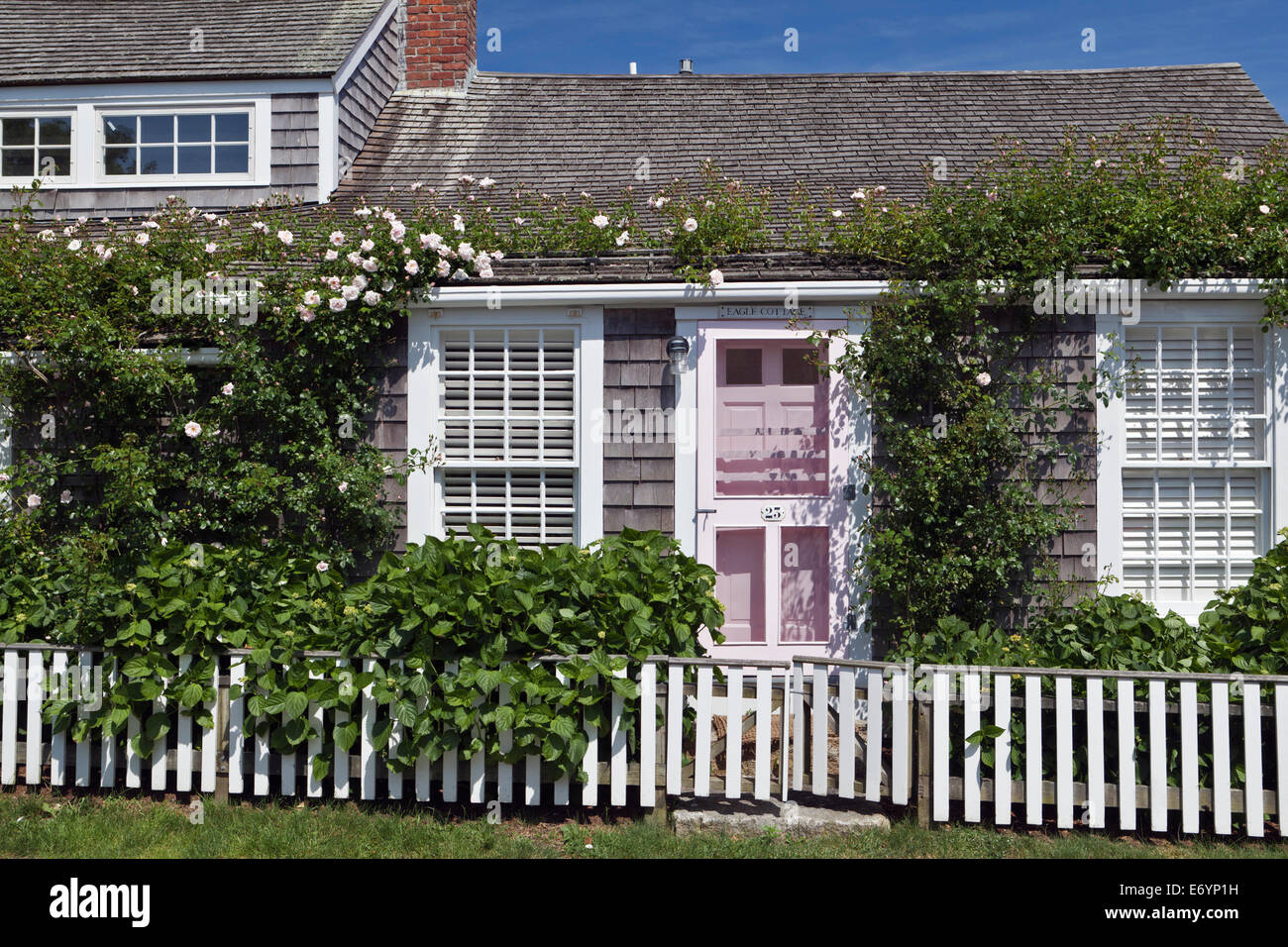 A rose covered clapboard cottage in Siasconset Village Nantucket Island