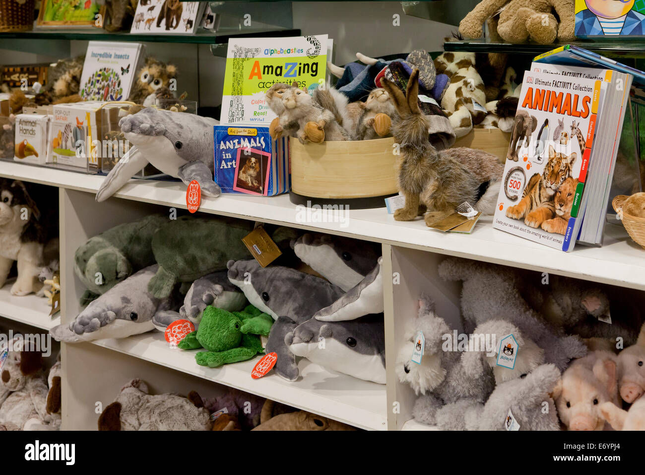 Stuffed animals on toy store hi-res stock photography and images - Alamy