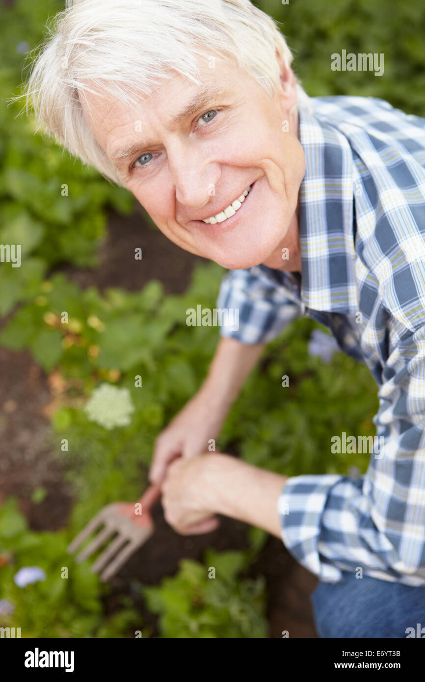 Mid age man gardening Stock Photo