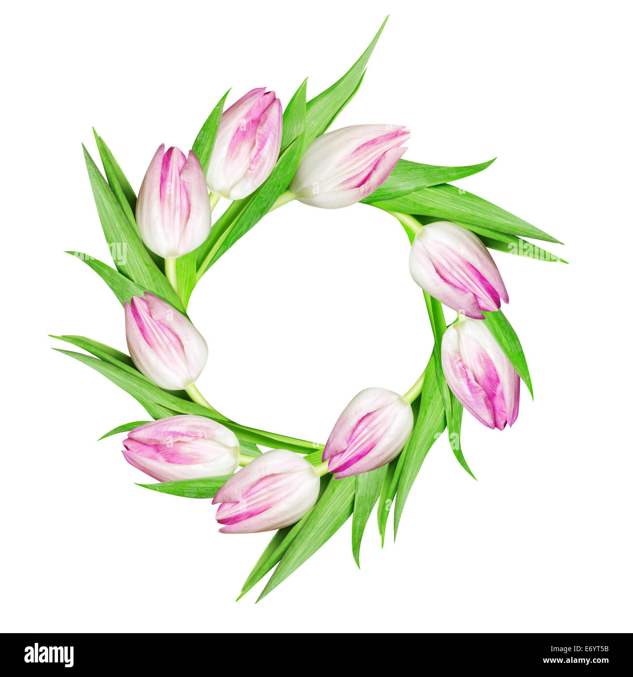 Wreath of pink tulips, isolated on white background Stock Photo - Alamy