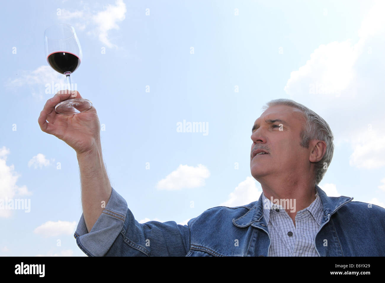 Winemaker examining wine Stock Photo