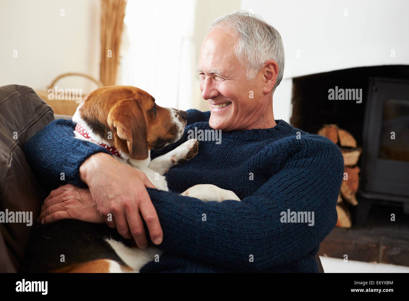 Senior Man Relaxing At Home With Pet Dog Stock Photo