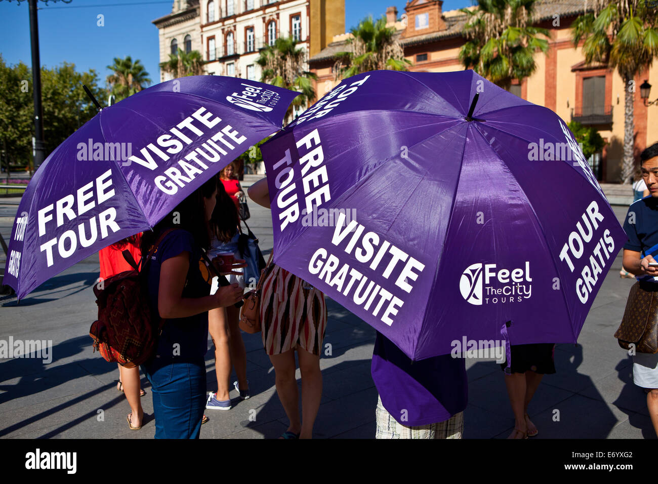 Tour guide umbrella hires stock photography and images Alamy