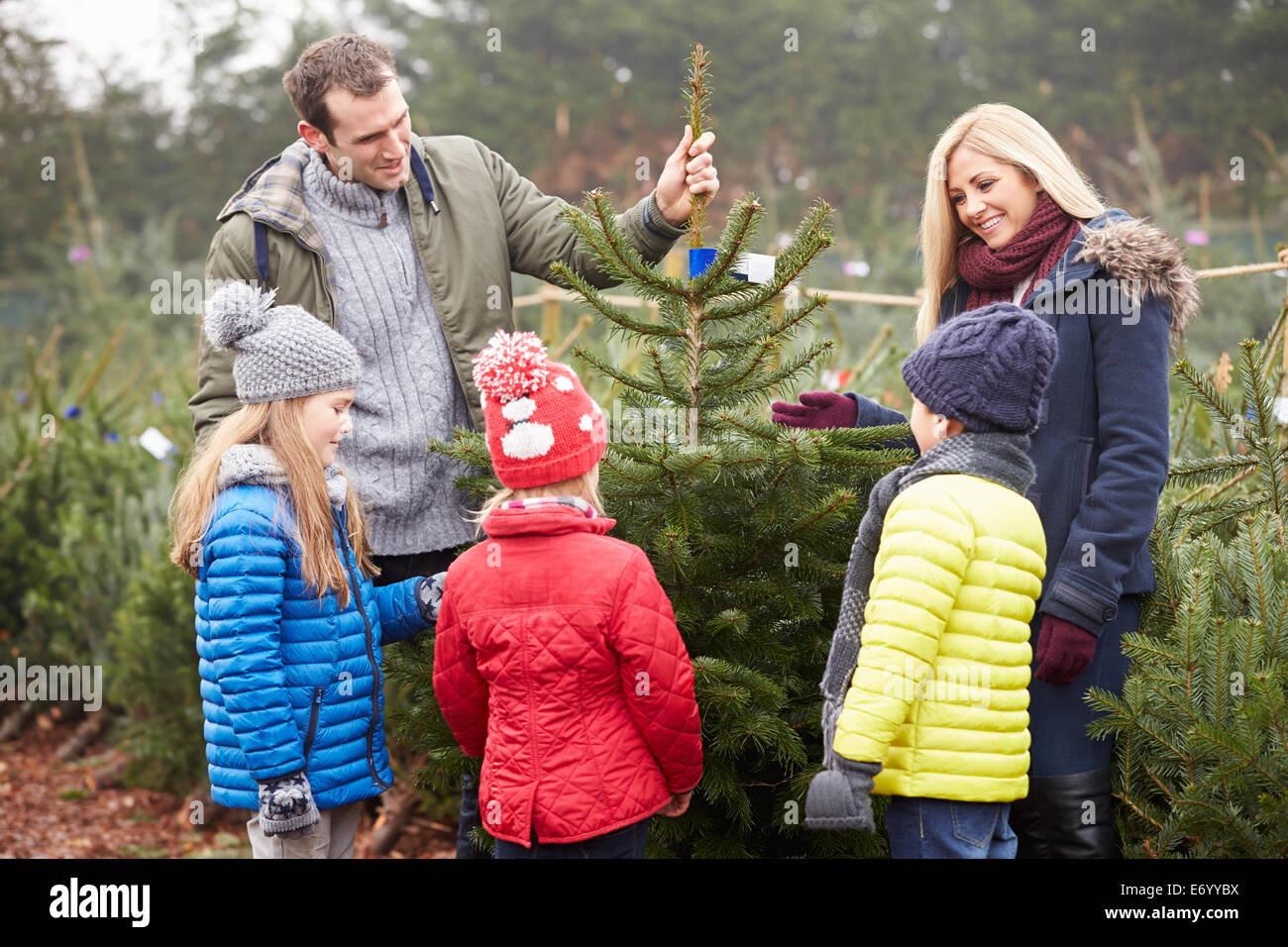 Outdoor Family Choosing Christmas Tree Together Stock Photo