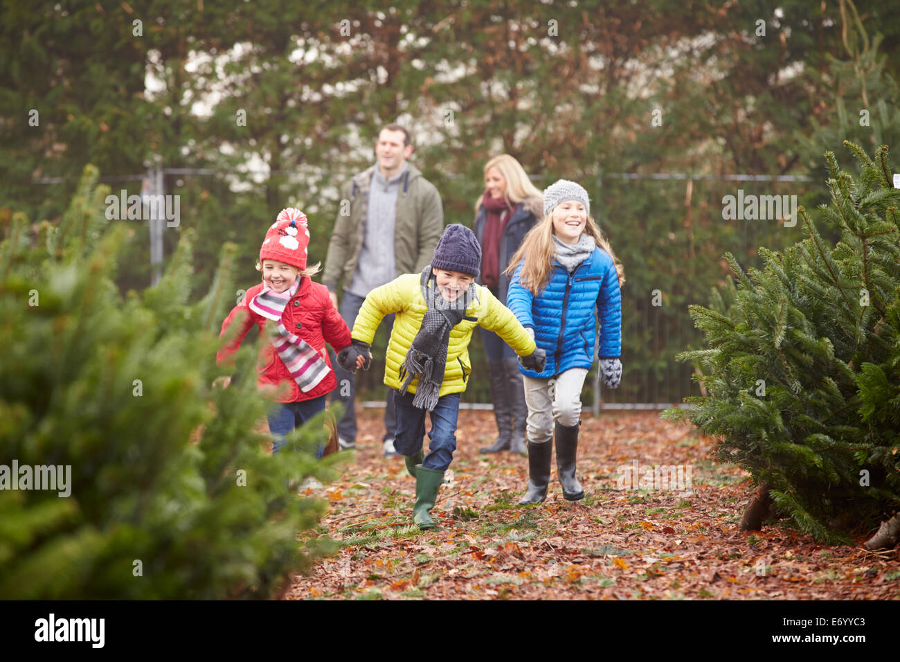 Outdoor Family Choosing Christmas Tree Together Stock Photo
