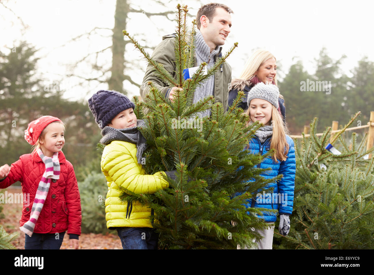 Outdoor Family Choosing Christmas Tree Together Stock Photo - Alamy