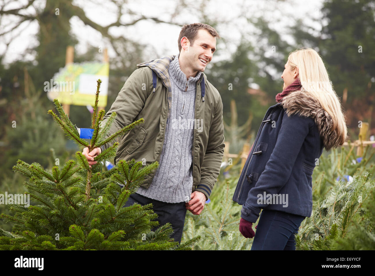 Outdoor Couple Choosing Christmas Tree Together Stock Photo