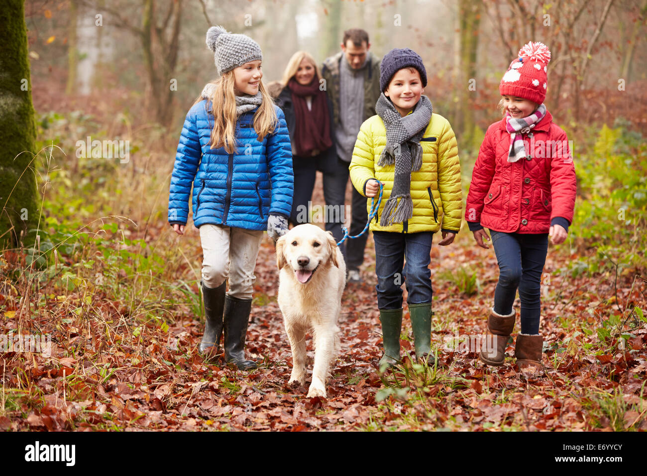 Family Walking Dog Through Winter Woodland Stock Photo