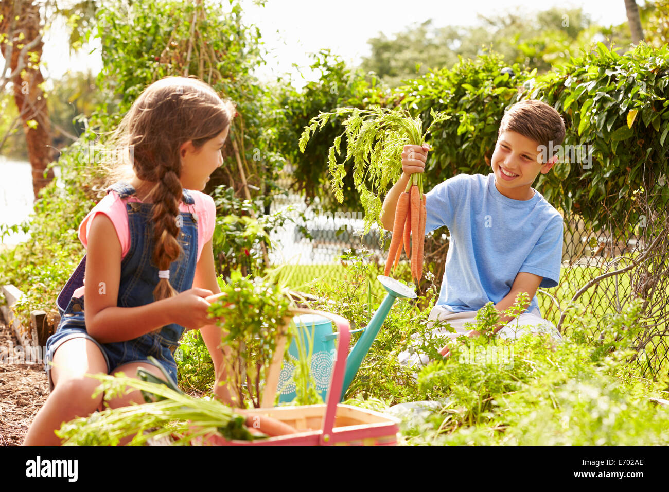 Two Children Working On Allotment Together Stock Photo