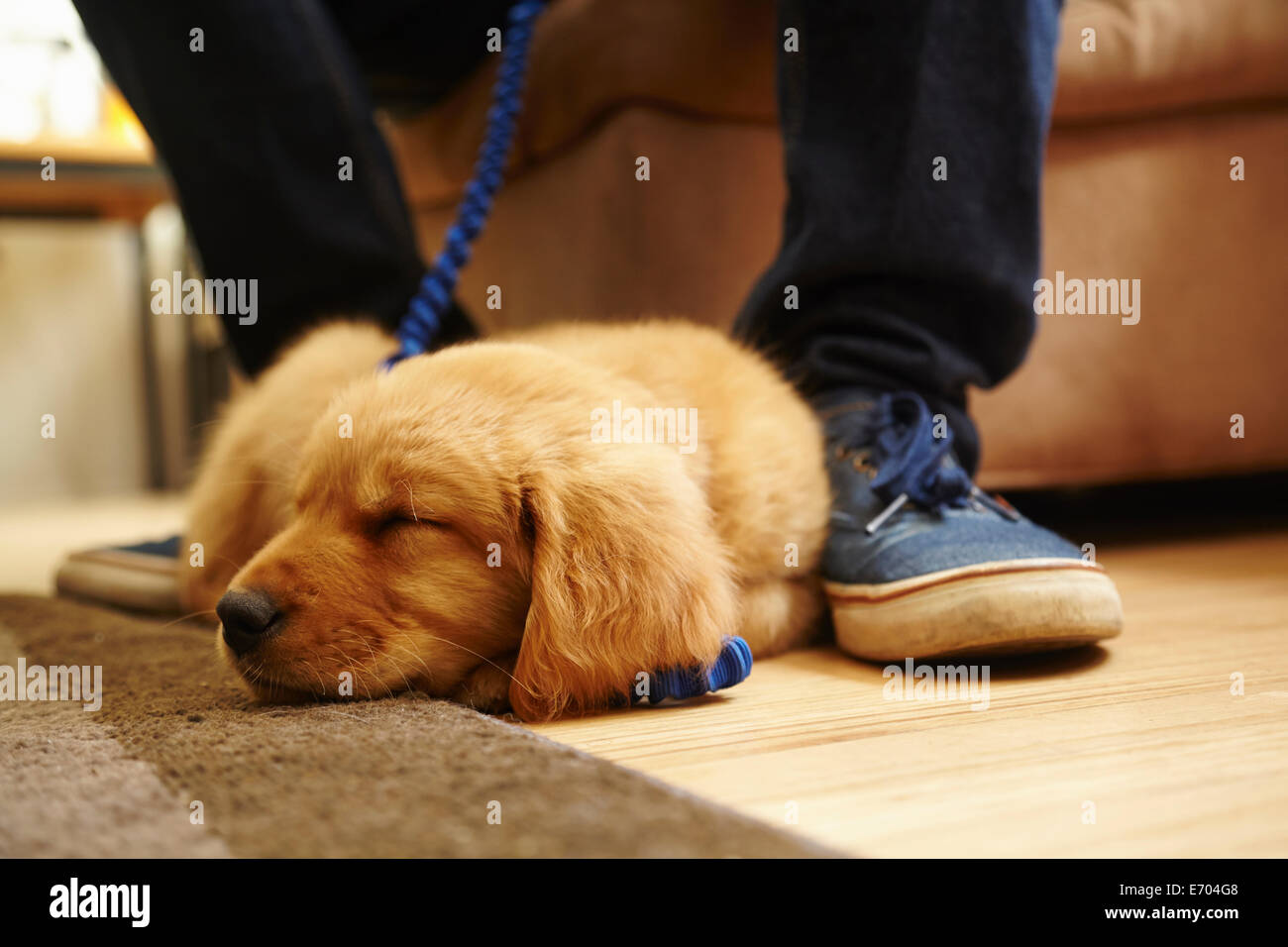 Asleep Stock Photos Asleep Stock Images Alamy