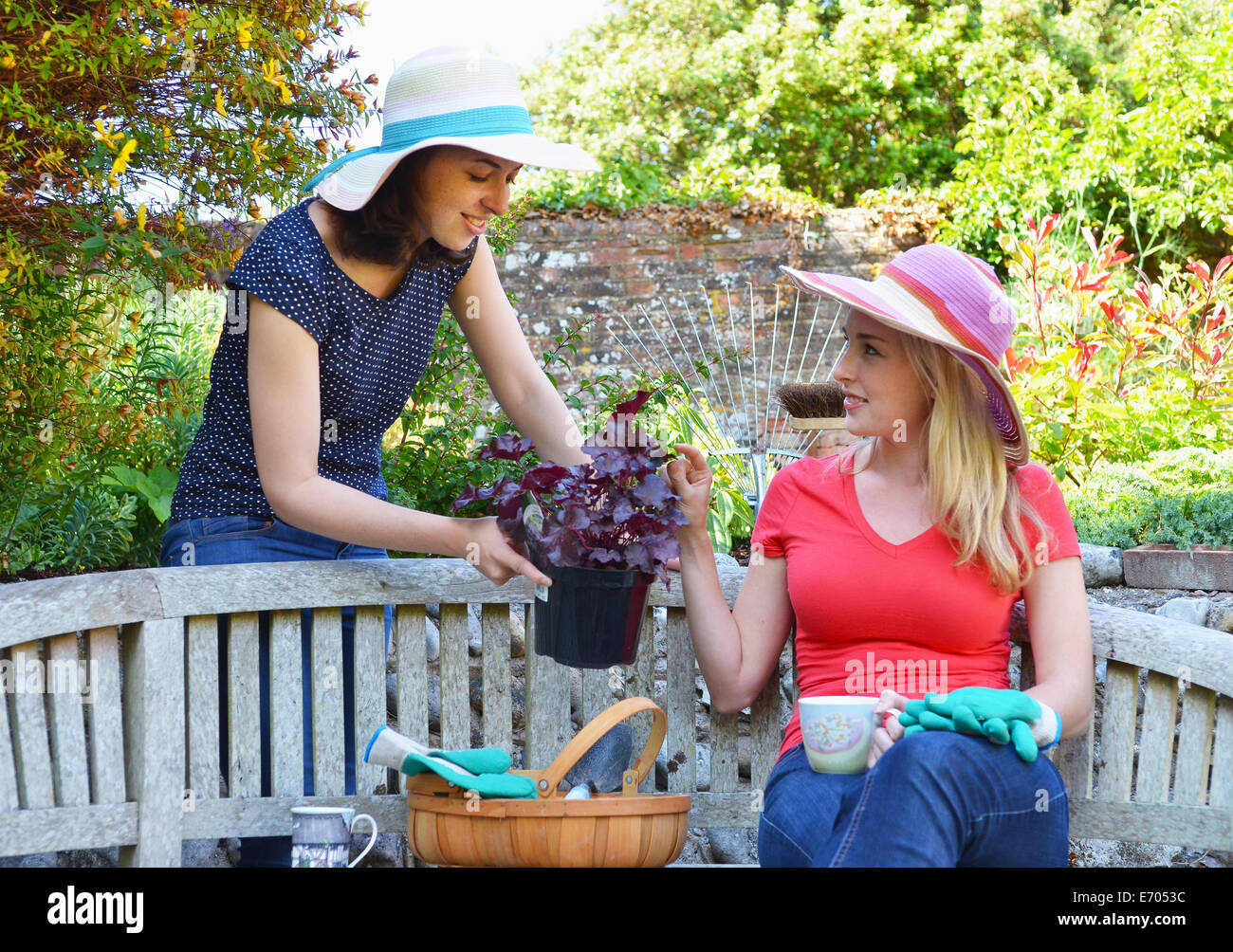 Young woman sitting on bench, friend showing plant Stock Photo