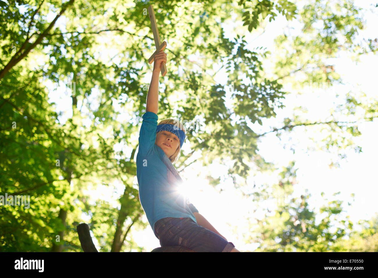 One young boy with toy sword, sitting on tree branch Stock Photo