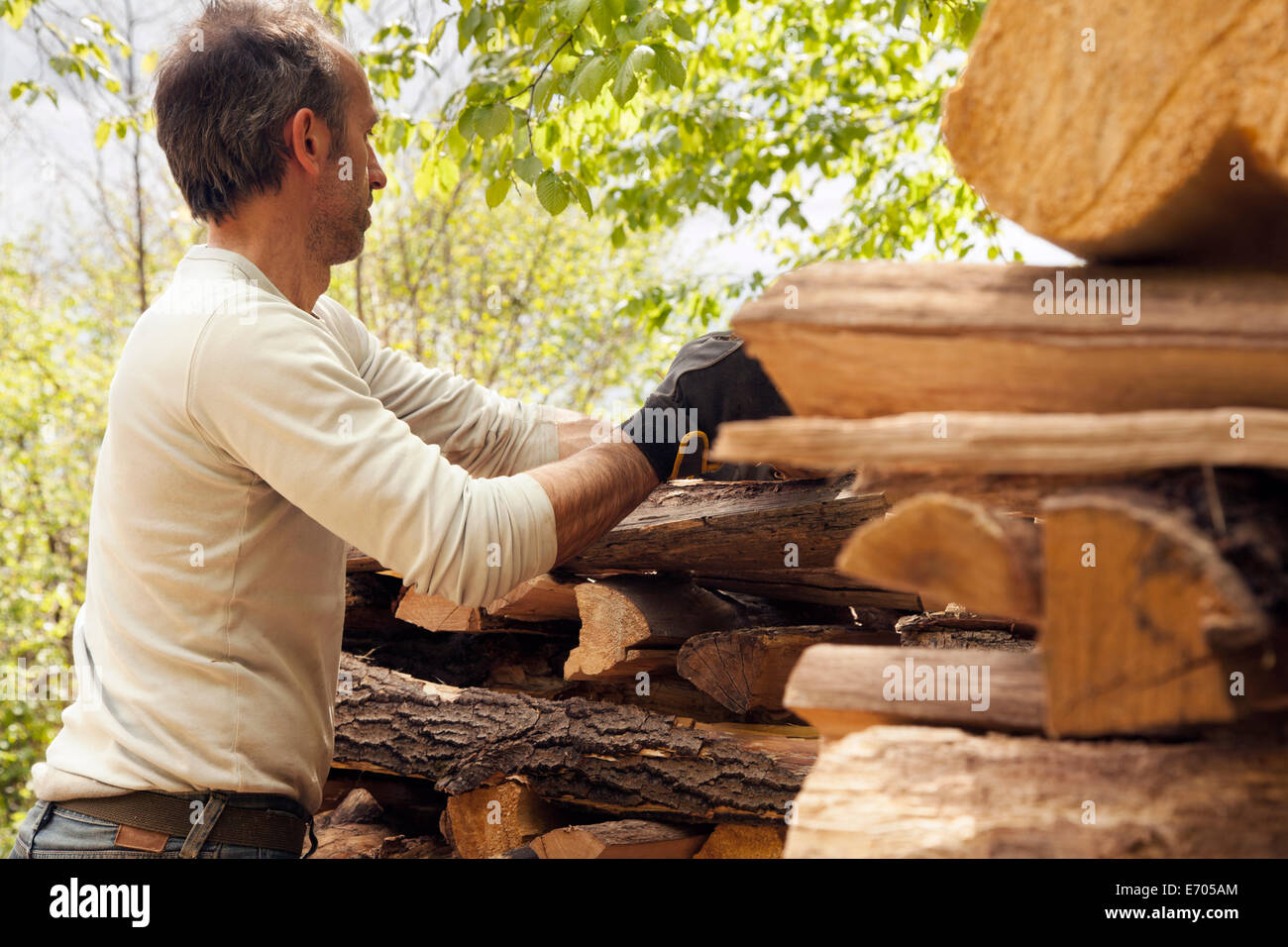 Man stacking cut wood Stock Photo Alamy
